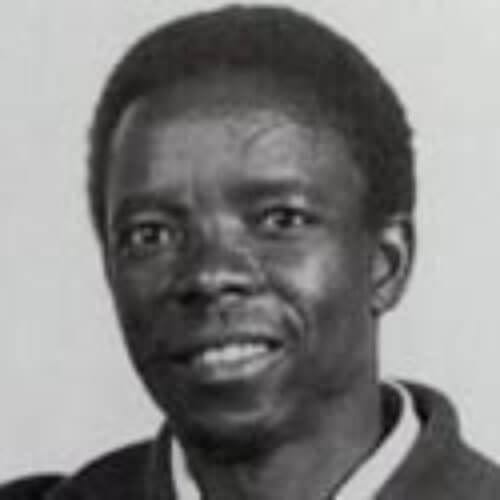 Rachel Ndandarika Chapungu Sculpture Park